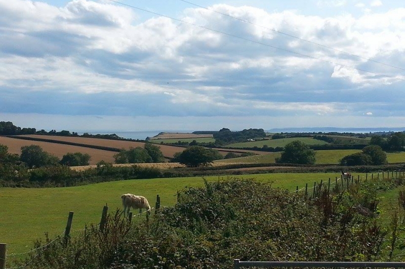 View over the Llama Field