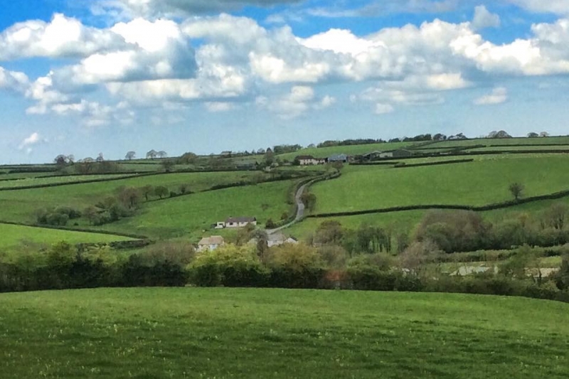 Farm view with cottages