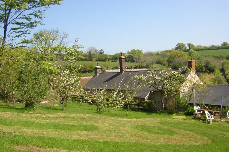 Anstey Mills Cottage garden