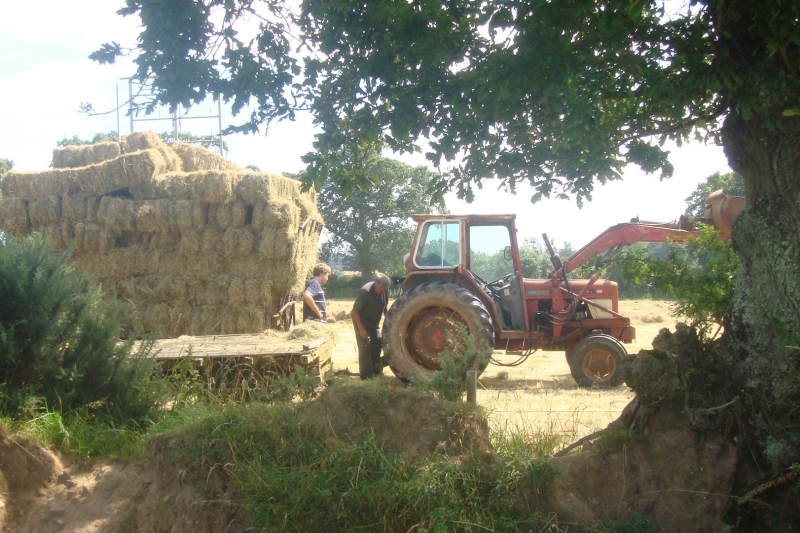 Hay making