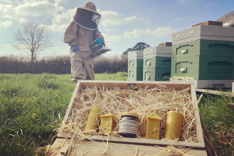 Farm honeybees