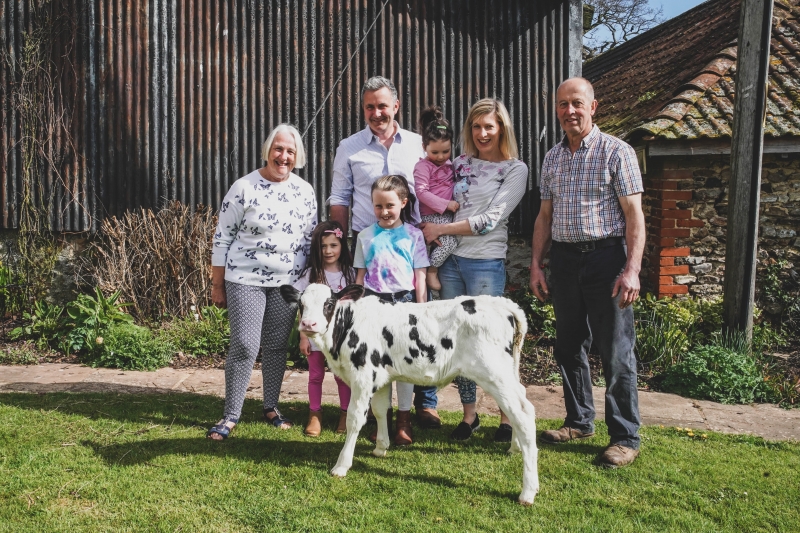 family & calf