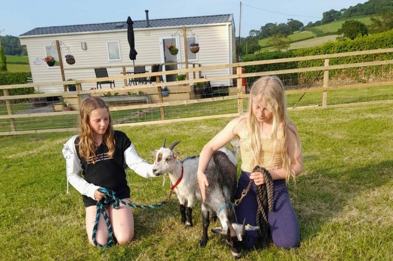 pygmy goats Moptop and Flynn love a cuddle