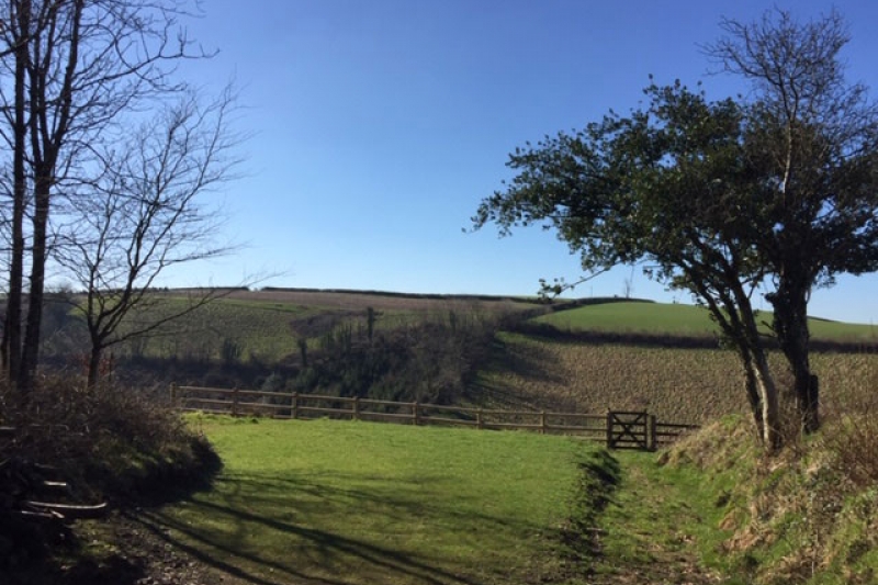 Secluded camping pitch overlooking valley