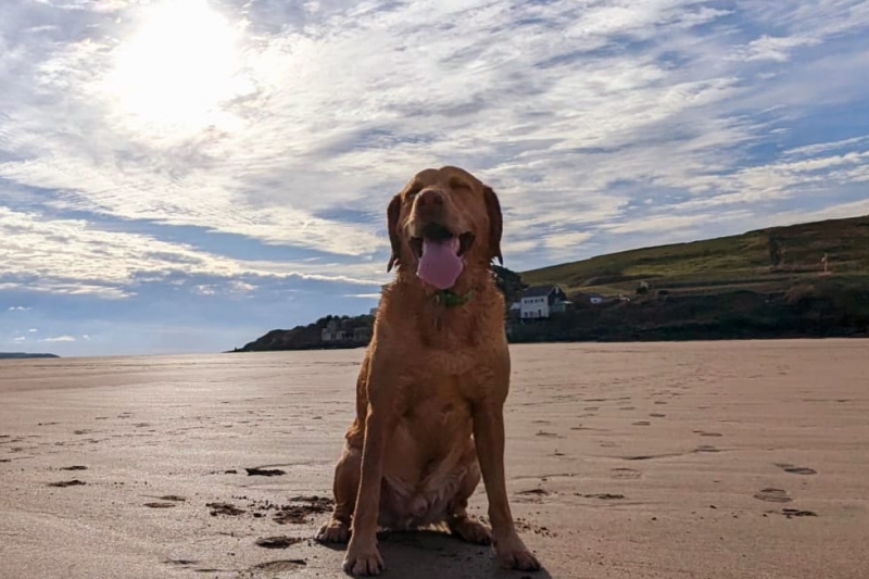 Bigbury beach