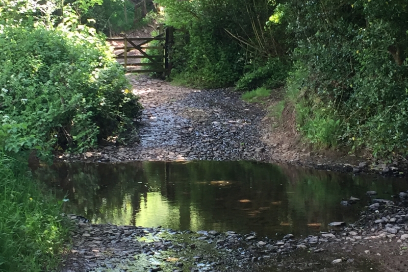 the river Dalch on the farm