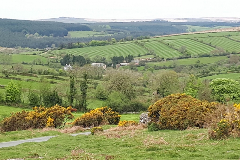 Dartmoor