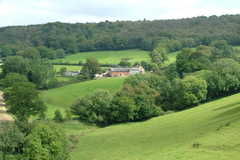 The Cottage within the Farm