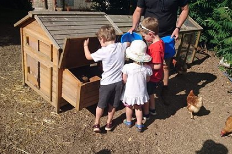 Help feed the animals and collect the eggs