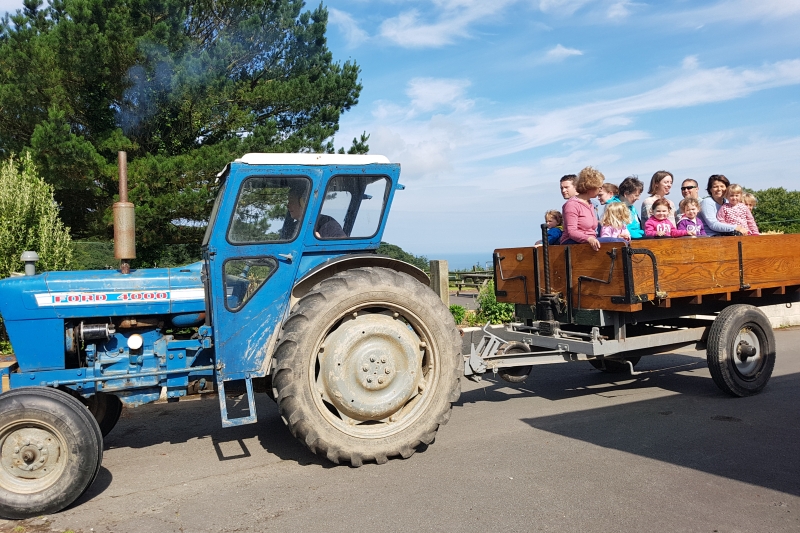 Family farm holidays by the sea