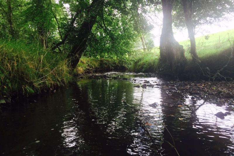 the river Dalch on the farm