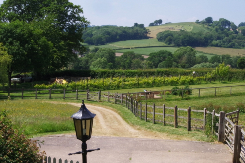 View from stables