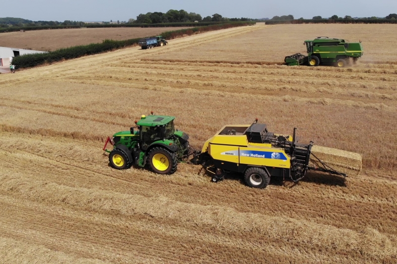 Harvest at Courtbrook