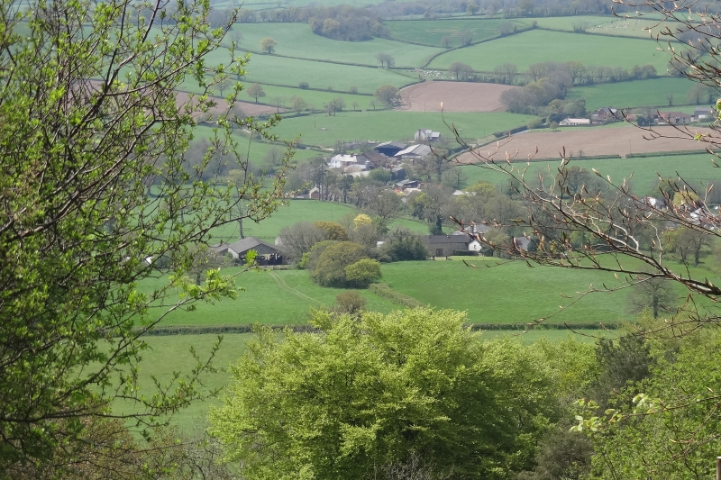 View of the farm from across the Valley