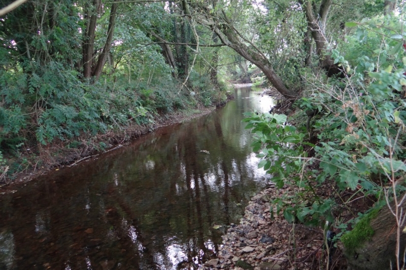 The River Coly