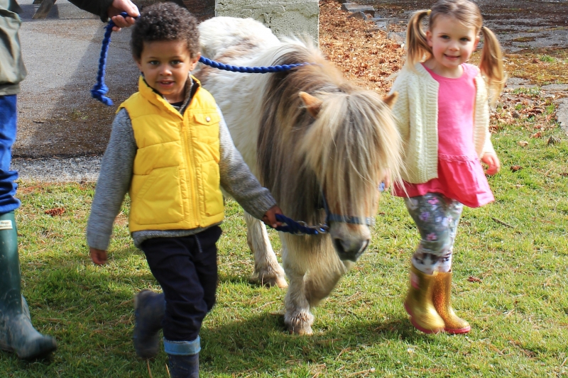 Help feed the animals & lead the ponies