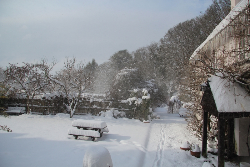 The farm in winter.