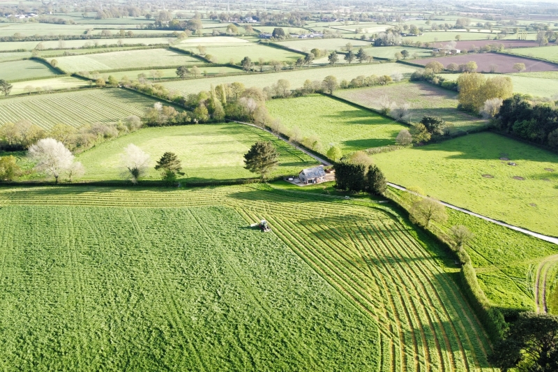 Deer Den from above