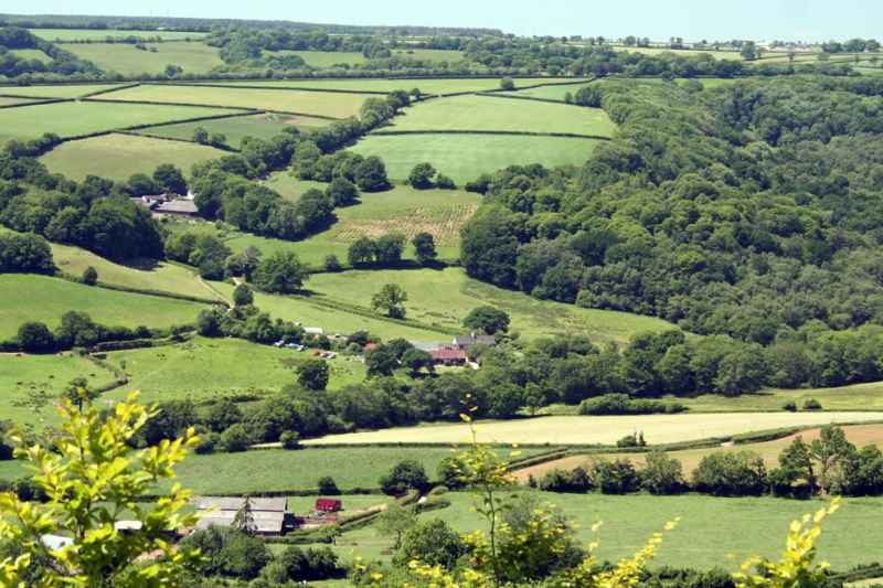 View of Farm