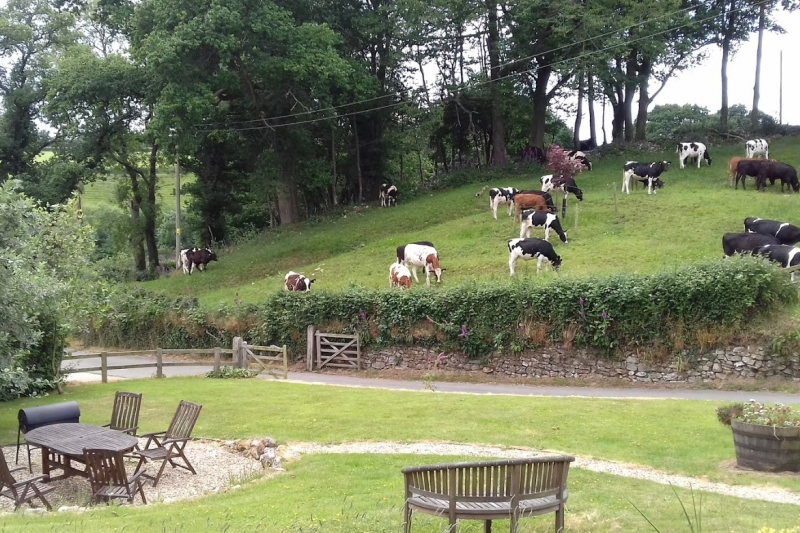 Views from garden