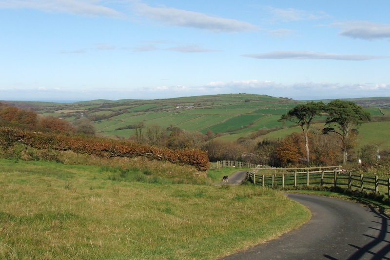 Arriving at Hollacombe