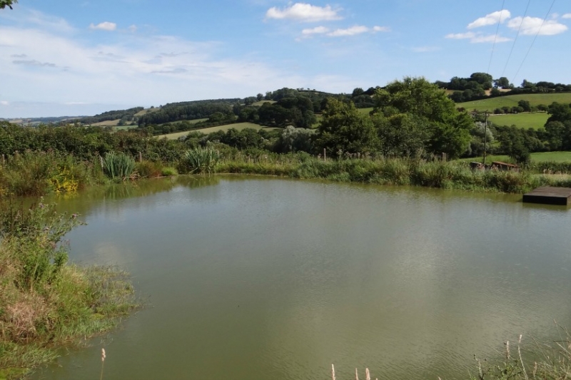 The Small Lake On our Farm