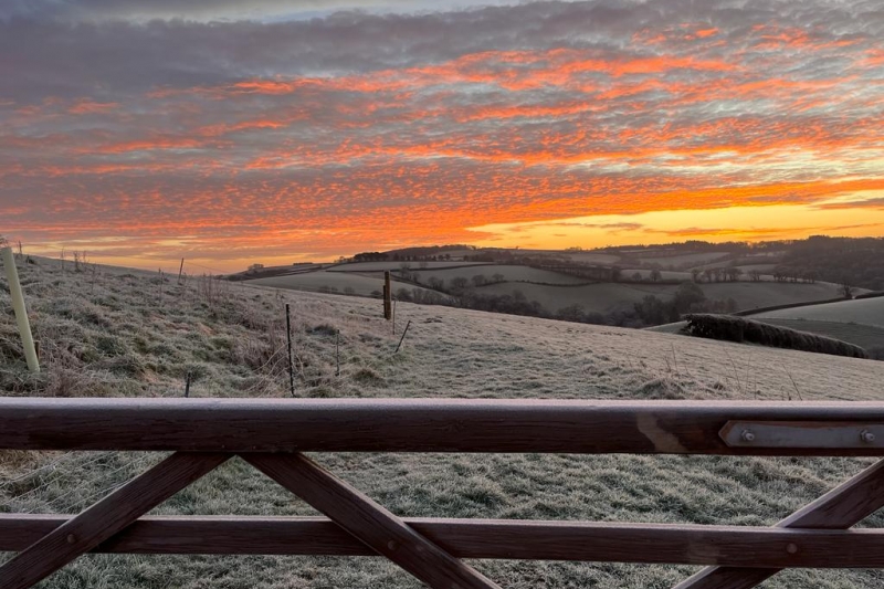 Thorne Farm Views