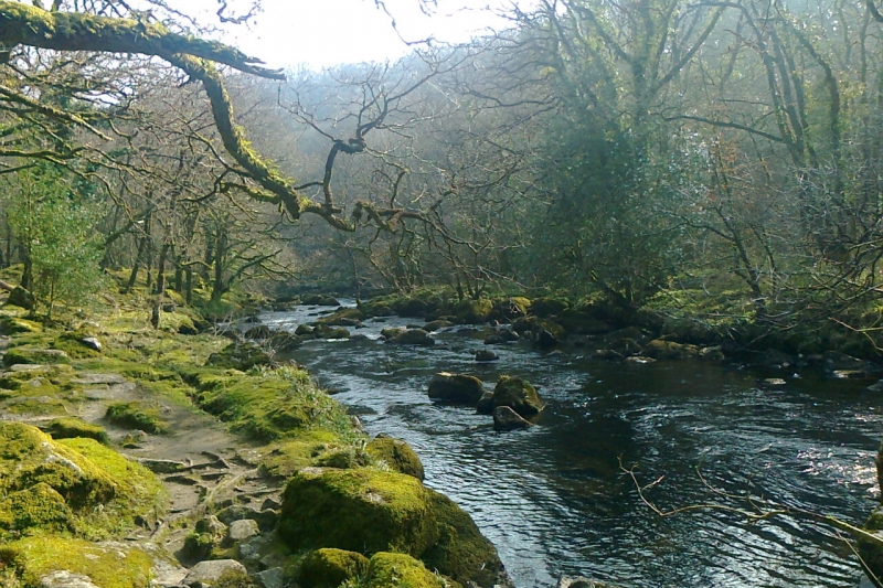 River on Dartmoor