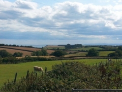 View over the Llama Field