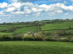 Farm view with cottages