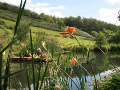 Devon Wildlife Pond