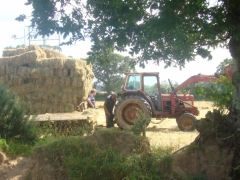 Hay making