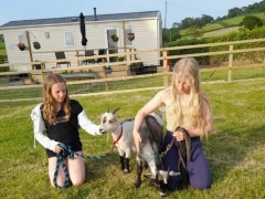 pygmy goats Moptop and Flynn love a cuddle