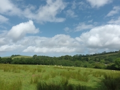 View from the paddock