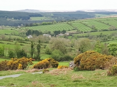 Dartmoor