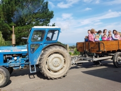 Family farm holidays by the sea