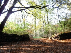 Autumn walk at Spreacombe