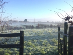 frosty morning