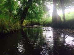 the river Dalch on the farm