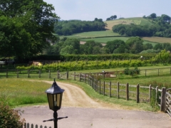 View from stables