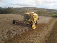 Harvest time