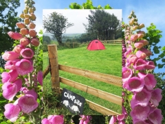 One of 3 secluded camping pitches with own wash room