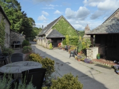 The Courtyard