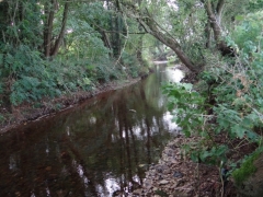 The River Coly