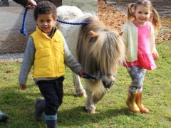 Help feed the animals & lead the ponies