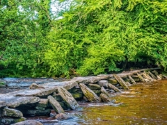 Tarr Steps North Devon