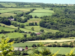 View of Farm