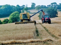 Harvest tIme