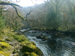 River on Dartmoor