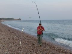 Fishing on Budleigh Beach